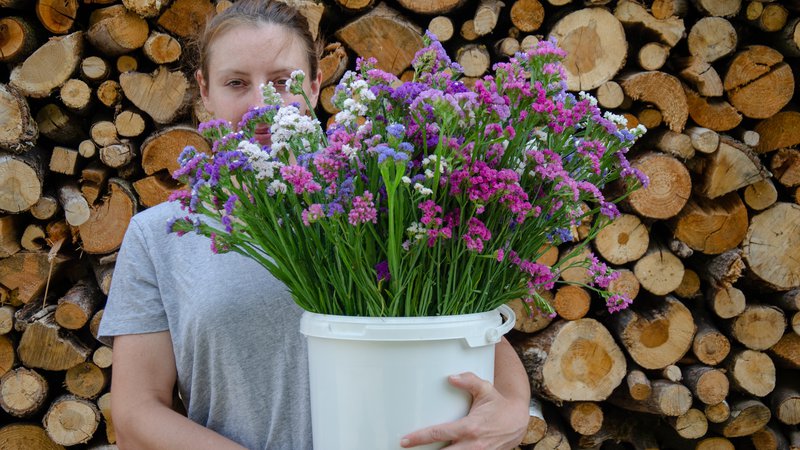 Fotografija: Aleksandra Brglez v domači Slovenski Bistrici na ekološki način goji lokalno rezano cvetje. Foto: osebni arhiv