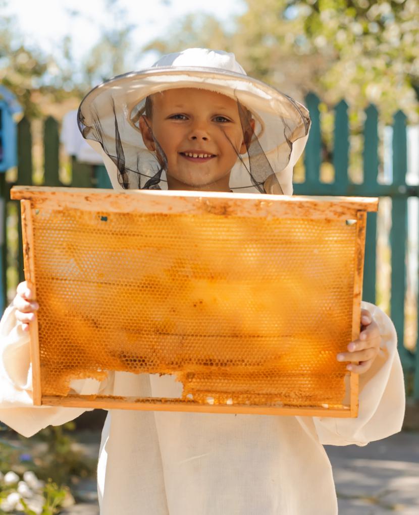 Bomo kmalu praznovali svetovni dan čebel?