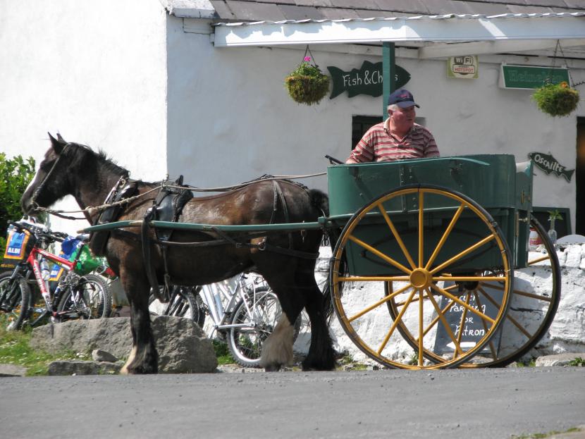 Otok Inis Mor je mogoče spoznavati s kočijo.