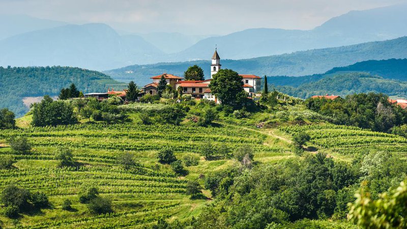Fotografija: Tudi če niste ljubitelji vina, vas bodo Goriška brda očarala. Foto: Jga/shutterstock