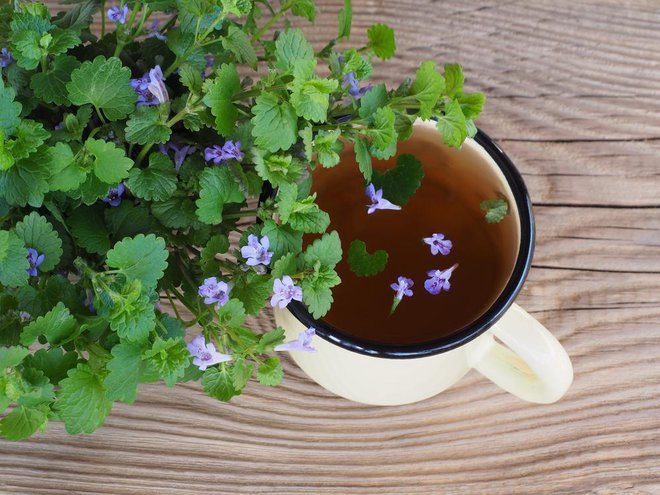Čaj iz grenkuljice pomaga pri težavah z dihali. Foto: Shutterstock