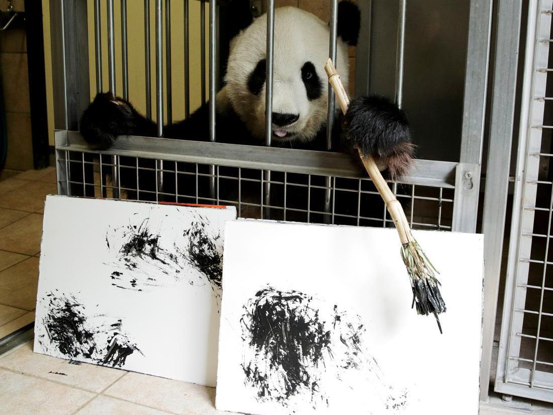 Panda slikarka z zaslužkom izdala knjigo 